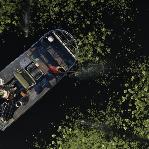 Official Rockstar Games screenshot of Grassrivers in Grand Theft Auto VI, image 3 of 4