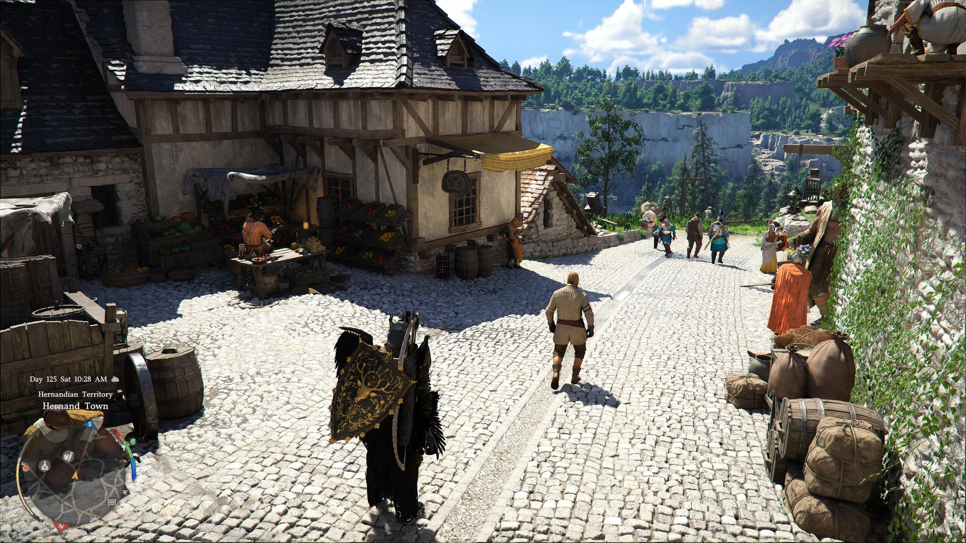 A cobbled market street in Hernand Town with produce stalls and townspeople, cliffs behind.