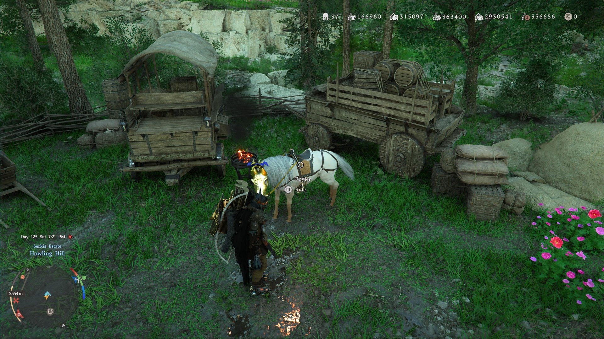 The white horse Royler beside two supply wagons at Howling Hill camp in the Serkis Estate.
